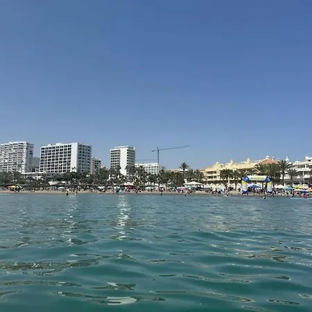 Bonanza Sea Horse Vacations *